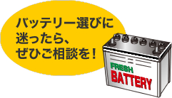 mame_battery_img01